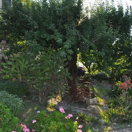 Il Terrazzo Sul Sinni-2